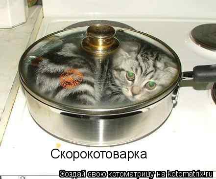 Котоматрица: Скорокотоварка