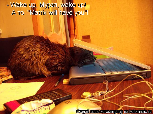 Котоматрица: - Wake up, Мурзя, wake up!  А то  "Matrix will have you"!
