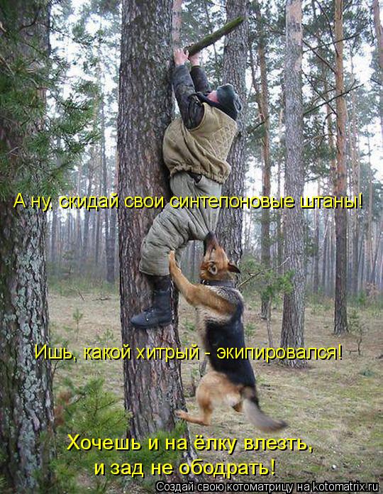 А ну, скидай свои синтепоновые штаны! Ишь, какой хитрый - экипировался! Хочешь и на ёлку влезть, и ... Котоматрица: А ну, скидай свои синтепоновые штаны! Ишь, какой хитрый - экипировался! Хочешь и на ёлку влезть, и зад не ободрать!