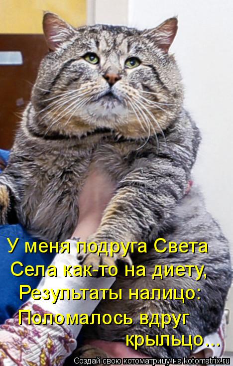 Результаты налицо: Поломалось вдруг крыльцо... У меня подруга Света Села как-то на диету,... Котоматрица: Результаты налицо: Поломалось вдруг крыльцо... У меня подруга Света Села как-то на диету,