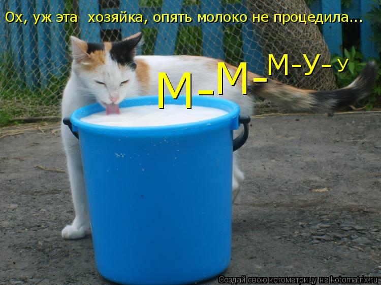 Котоматрица: М- М- М-У- У Ох, уж эта  хозяйка, опять молоко не процедила...