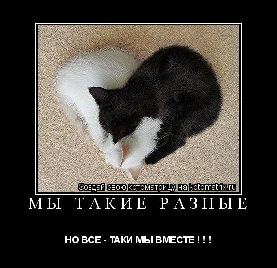 Котоматрица: МЫ ТАКИЕ РАЗНЫЕ  НО ВСЕ - ТАКИ МЫ ВМЕСТЕ ! ! !