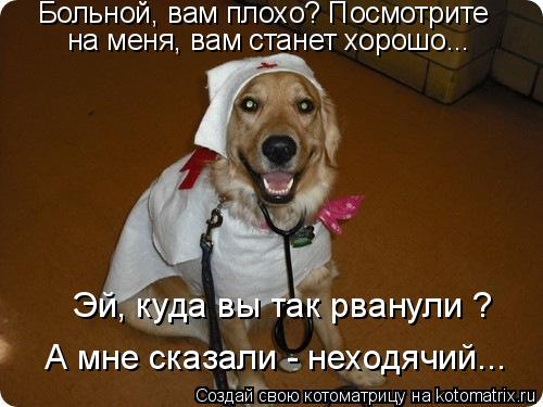 на меня, вам станет хорошо... Больной, вам плохо? Посмотрите Эй, куда вы так рванули ? А мне сказали... Котоматрица: на меня, вам станет хорошо... Больной, вам плохо? Посмотрите Эй, куда вы так рванули ? А мне сказали - неходячий...