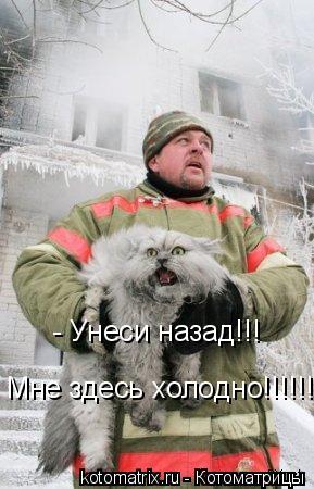 Котоматрица: - Унеси назад!!! Мне здесь холодно!!!!!!!