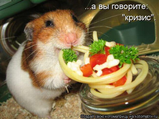 ...а вы говорите: "кризис".... Котоматрица: ...а вы говорите: "кризис".