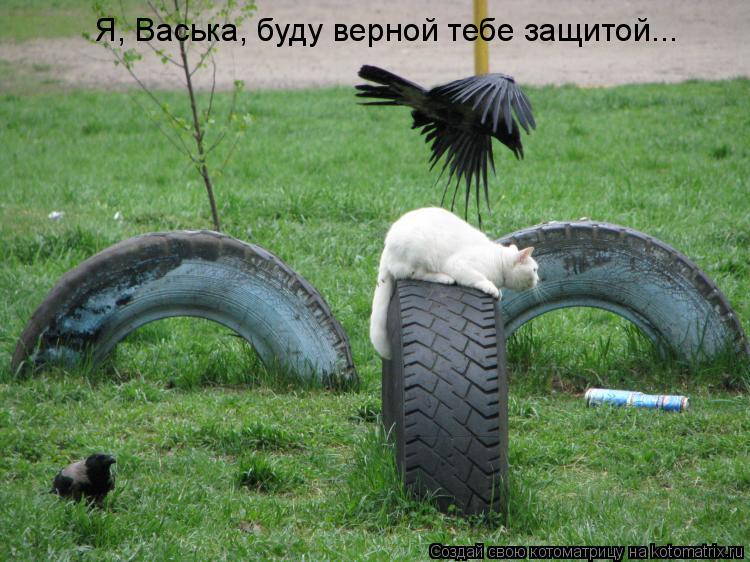 Котоматрица: Я, Васька, буду верной тебе защитой...