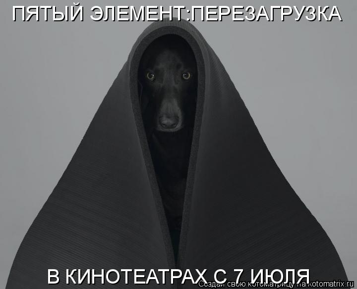 Котоматрица: ПЯТЫЙ ЭЛЕМЕНТ:ПЕРЕЗАГРУЗКА В КИНОТЕАТРАХ С 7 ИЮЛЯ