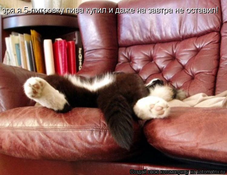 Котоматрица: зря я 5-литровку пива купил и даже на завтра не оставил!