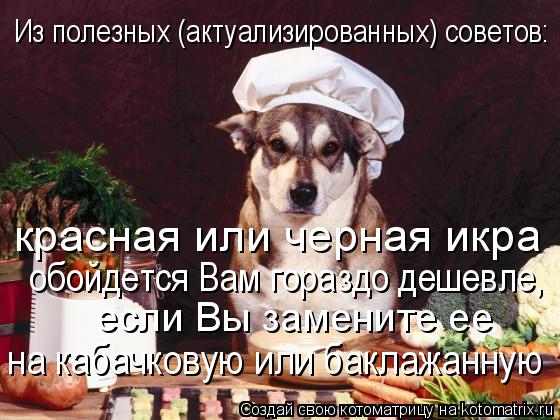 Котоматрица: на кабачковую или баклажанную  если Вы замените ее  обойдется Вам гораздо дешевле, Из полезных (актуализированных) советов: красная или чер