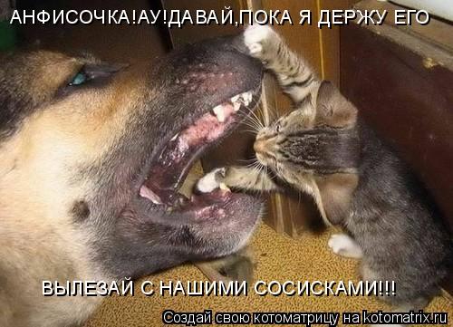 Котоматрица: АНФИСОЧКА!АУ!ДАВАЙ,ПОКА Я ДЕРЖУ ЕГО ВЫЛЕЗАЙ С НАШИМИ СОСИСКАМИ!!!