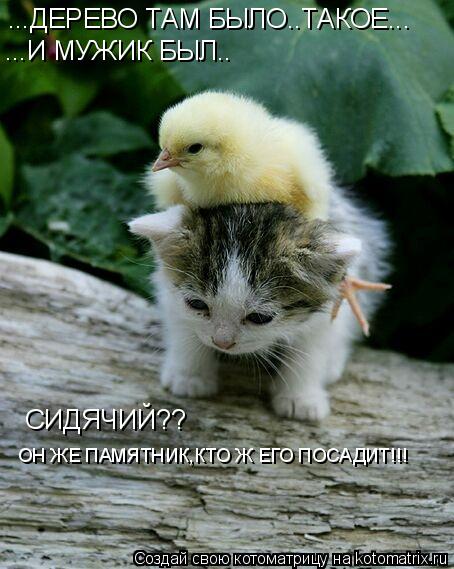 Котоматрица: ...ДЕРЕВО ТАМ БЫЛО..ТАКОЕ... ...И МУЖИК БЫЛ.. СИДЯЧИЙ?? ОН ЖЕ ПАМЯТНИК,КТО Ж ЕГО ПОСАДИТ!!!