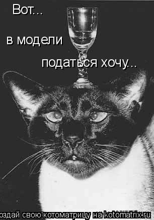 Котоматрица: Вот... в модели податься хочу...