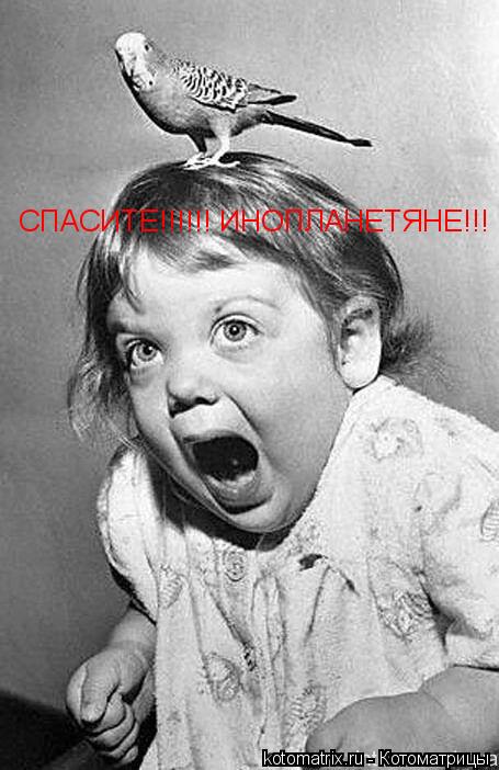 Котоматрица: СПАСИТЕ!!!!!! ИНОПЛАНЕТЯНЕ!!!