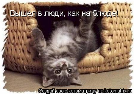 Котоматрица: Вышел в люди, как на блюде!