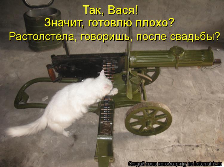 Так, Вася! Значит, готовлю плохо? Растолстела, говоришь, после свадьбы?... Котоматрица: Так, Вася! Значит, готовлю плохо? Растолстела, говоришь, после свадьбы?