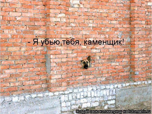 - Я убью тебя, каменщик!... Котоматрица: - Я убью тебя, каменщик!