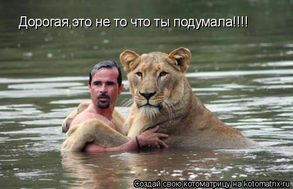 Дорогая,это не то что ты подумала!!!!... Котоматрица: Дорогая,это не то что ты подумала!!!!