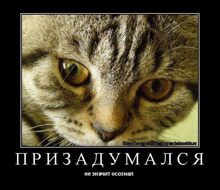 Котоматрица: призадумался не значит осознал 