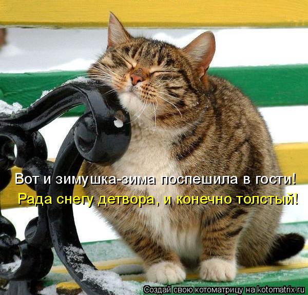 Котоматрица: Вот и зимушка-зима поспешила в гости! Рада снегу детвора, и конечно толстый!