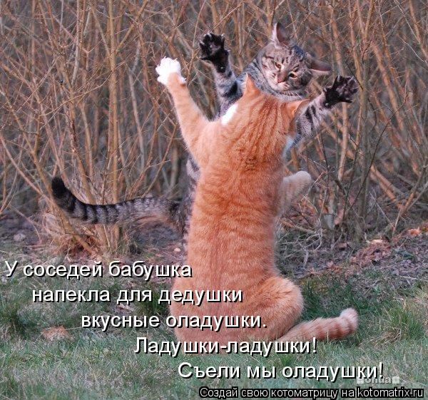 У соседей бабушка напекла для дедушки вкусные оладушки. Ладушки-ладушки! Съели мы оладушки!... Котоматрица: У соседей бабушка напекла для дедушки вкусные оладушки. Ладушки-ладушки! Съели мы оладушки!