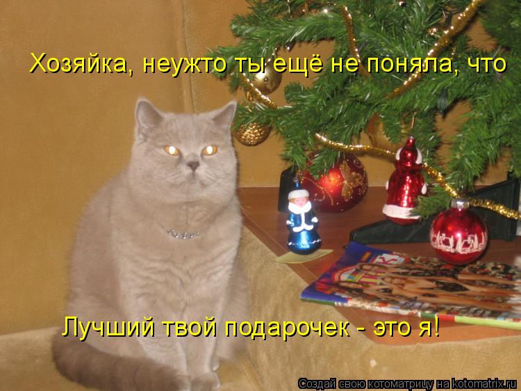 Лучший твой подарочек - это я! Хозяйка, неужто ты ещё не поняла, что... Котоматрица: Лучший твой подарочек - это я! Хозяйка, неужто ты ещё не поняла, что