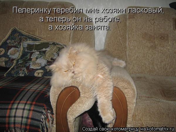 Котоматрица: Пелеринку теребил мне хозяин ласковый, а теперь он на работе, а хозяйка занята.