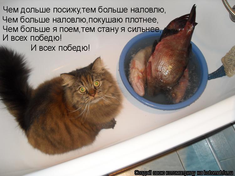 Котоматрица: Чем дольше посижу,тем больше наловлю, Чем больше наловлю,покушаю плотнее, Чем больше я поем,тем стану я сильнее, И всех победю! И всех победю!