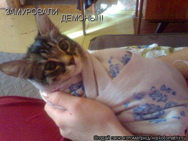 Котоматрица: ЗАМУРОВАЛИ ДЕМОНЫ!!!