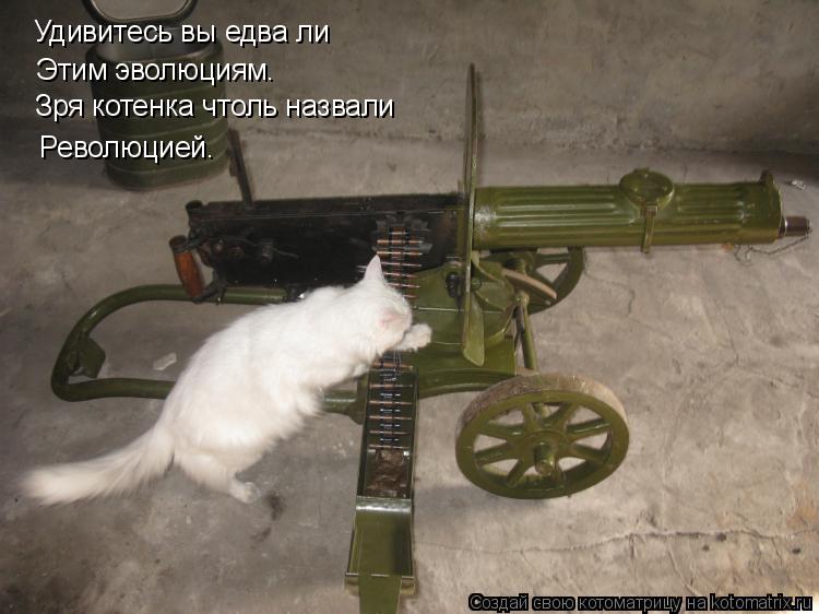 Котоматрица: Удивитесь вы едва ли Этим эволюциям. Зря котенка чтоль назвали Революцией.