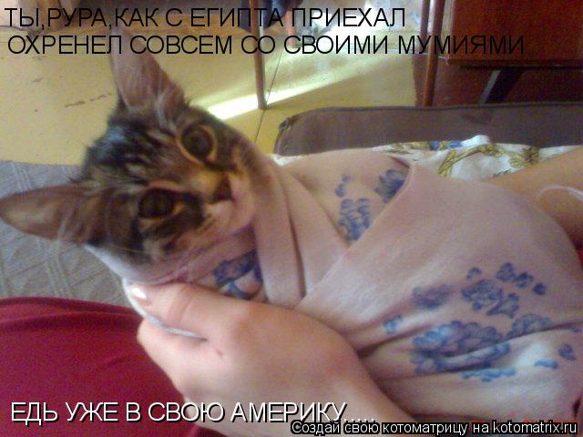 Котоматрица: ТЫ,РУРА,КАК С ЕГИПТА ПРИЕХАЛ ОХРЕНЕЛ СОВСЕМ СО СВОИМИ МУМИЯМИ ЕДЬ УЖЕ В СВОЮ АМЕРИКУ.....