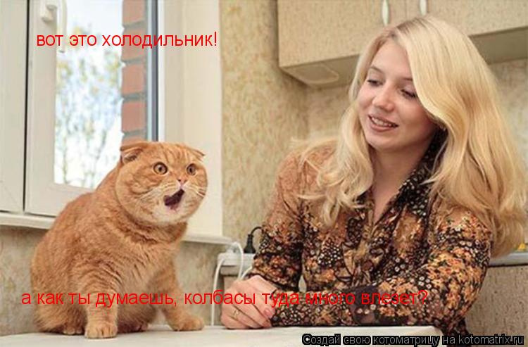 Котоматрица: вот это холодильник! а как ты думаешь, колбасы туда много влезет?