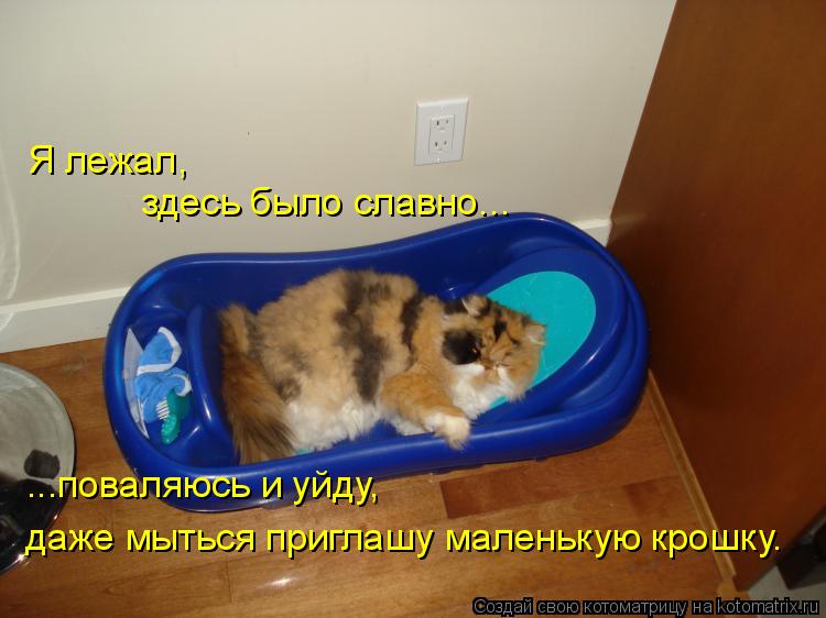 Котоматрица: Я лежал, здесь было славно... ...поваляюсь и уйду, даже мыться приглашу маленькую крошку.