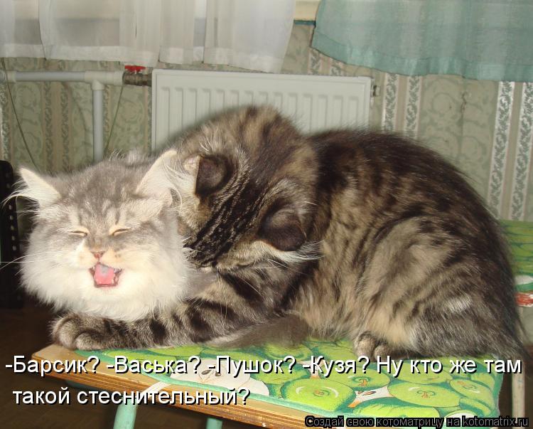 -Барсик? -Васька? -Пушок? -Кузя? Ну кто же там такой стеснительный?... Котоматрица: -Барсик? -Васька? -Пушок? -Кузя? Ну кто же там такой стеснительный?