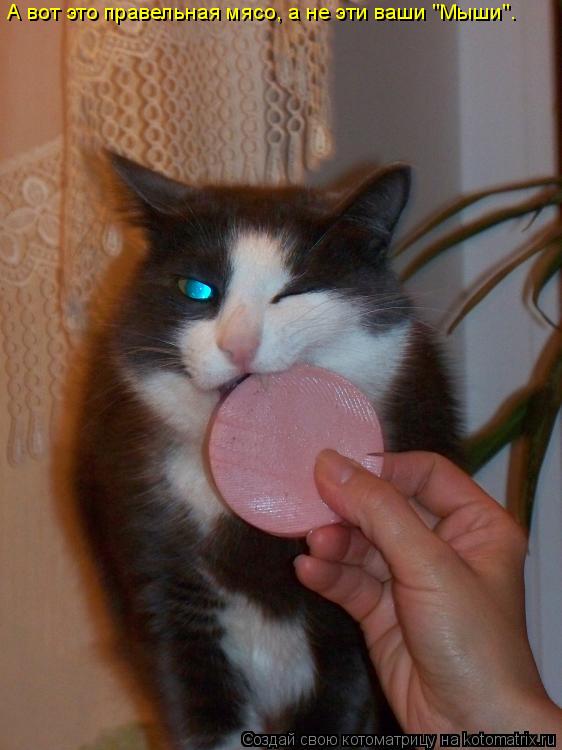 Котоматрица: А вот это правельная мясо, а не эти ваши "Мыши".