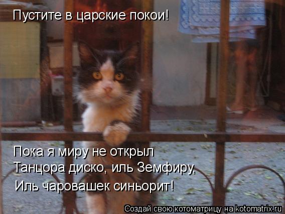 Пустите в царские покои! Пока я миру не открыл Танцора диско, иль Земфиру, Иль чаровашек синьорит!... Котоматрица: Пустите в царские покои! Пока я миру не открыл Танцора диско, иль Земфиру, Иль чаровашек синьорит!
