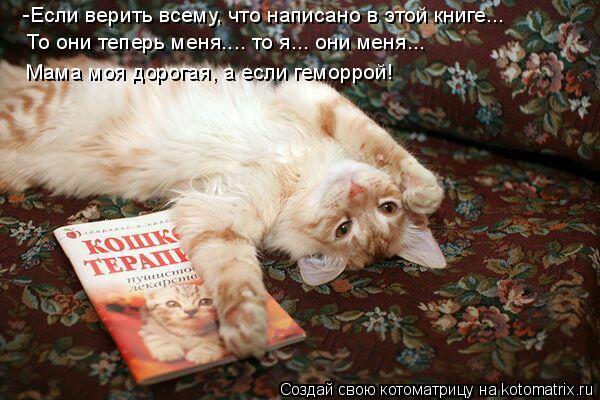 -Если верить всему, что написано в этой книге... То они теперь меня.... то я... они меня... Мама моя ... Котоматрица: -Если верить всему, что написано в этой книге... То они теперь меня.... то я... они меня... Мама моя дорогая, а если геморрой!