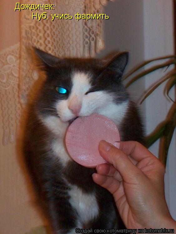 Котоматрица: Дождичек: Нуб, учись фармить