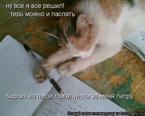 Котоматрица: ну все я все решил!  терь можно и паспать барсик на пиши пожалуйста за меня литру