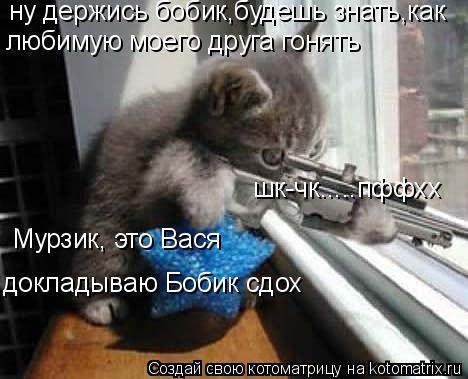 ну держись бобик,будешь знать,как любимую моего друга гонять шк-чк.....пффхх Мурзик, это Вася доклады... Котоматрица: ну держись бобик,будешь знать,как любимую моего друга гонять шк-чк.....пффхх Мурзик, это Вася докладываю Бобик сдох