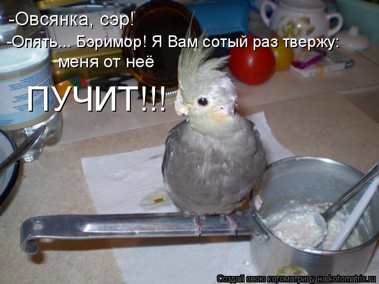 -Овсянка, сэр! меня от неё ПУЧИТ!!! -Опять... Бэримор! Я Вам сотый раз твержу:... Котоматрица: -Овсянка, сэр! меня от неё ПУЧИТ!!! -Опять... Бэримор! Я Вам сотый раз твержу: