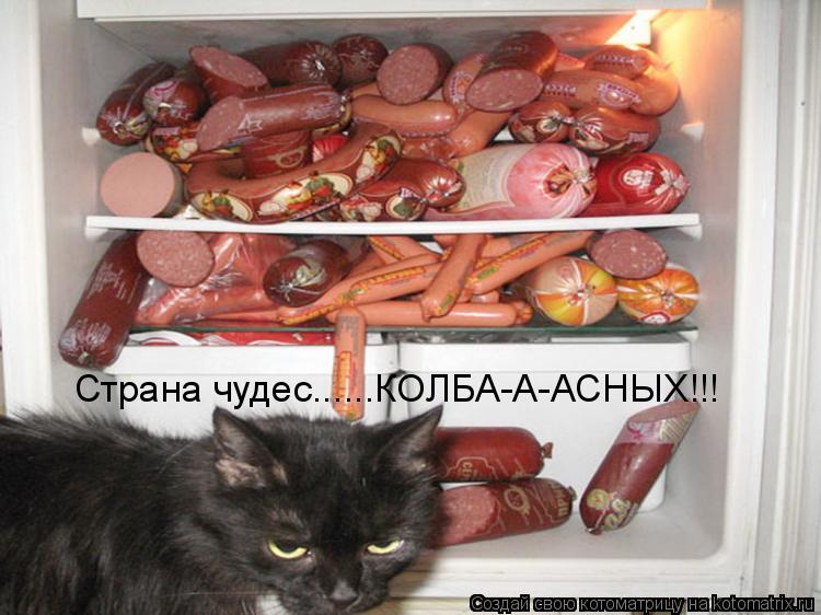 Страна чудес......КОЛБА-А-АСНЫХ!!!... Котоматрица: Страна чудес......КОЛБА-А-АСНЫХ!!!