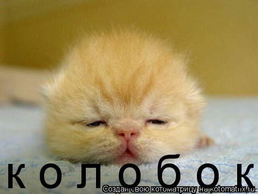 Котоматрица: к о л о б о к