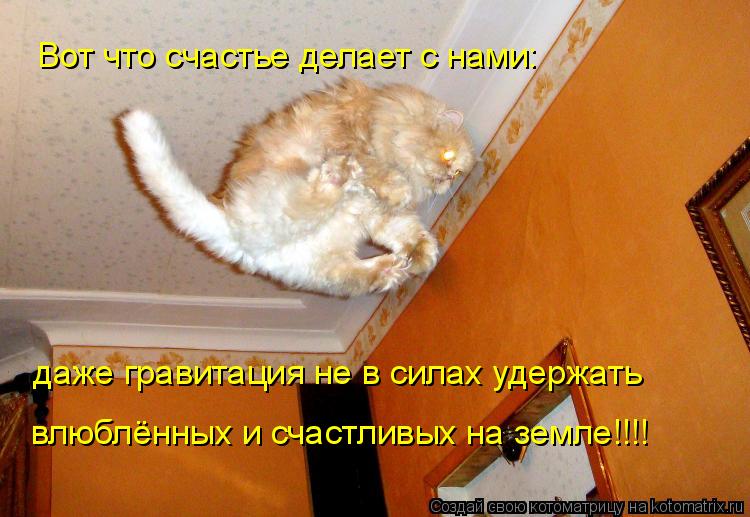 Вот что счастье делает с нами: даже гравитация не в силах удержать влюблённых и счастливых на земле!... Котоматрица: Вот что счастье делает с нами: даже гравитация не в силах удержать влюблённых и счастливых на земле!!!!