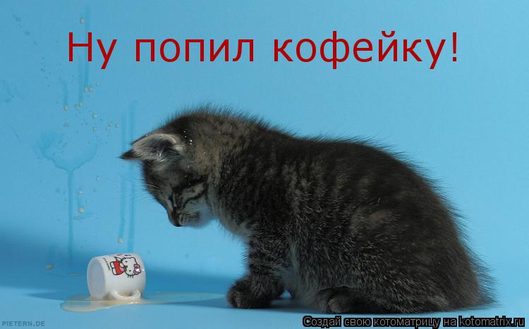 Котоматрица: Ну попил кофейку!
