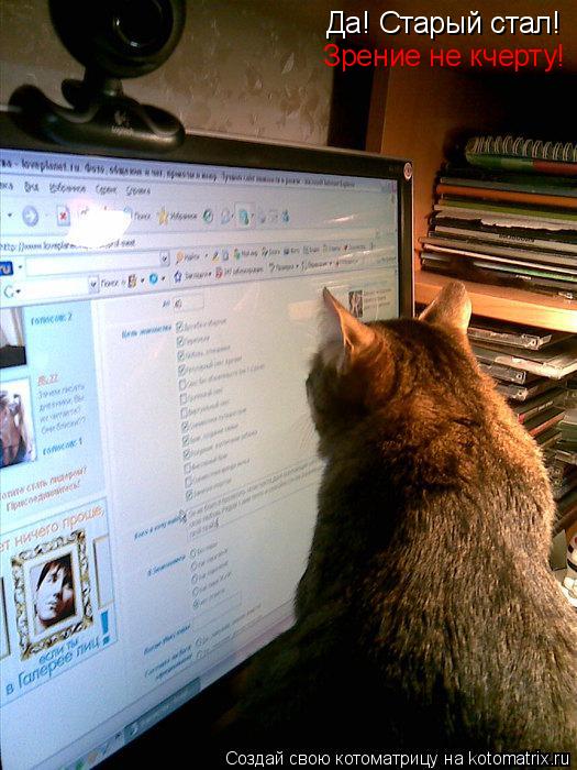 Котоматрица: Да! Старый стал! Зрение не кчерту!