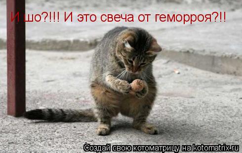 Котоматрица: И шо?!!! И это свеча от геморроя?!!