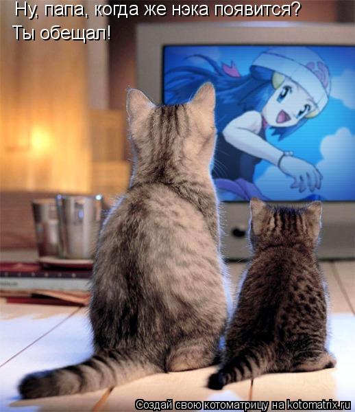 Котоматрица: Ты обещал! Ну, папа, когда же нэка появится?