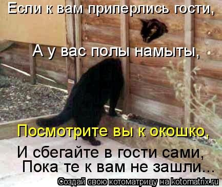 Если к вам приперлись гости, А у вас полы намыты, Посмотрите вы к окошко, И сбегайте в гости сами, По... Котоматрица: Если к вам приперлись гости, А у вас полы намыты, Посмотрите вы к окошко, И сбегайте в гости сами, Пока те к вам не зашли...