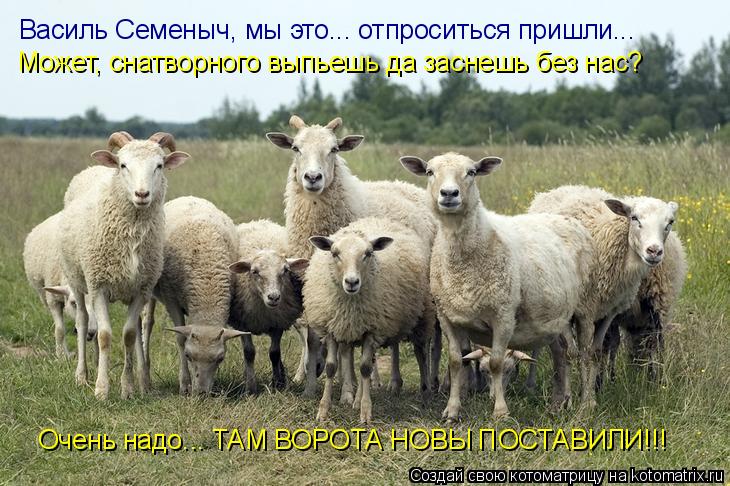 Котоматрица: Василь Семеныч, мы это... отпроситься пришли... Может, снатворного выпьешь да заснешь без нас? Очень надо... ТАМ ВОРОТА НОВЫ ПОСТАВИЛИ!!!