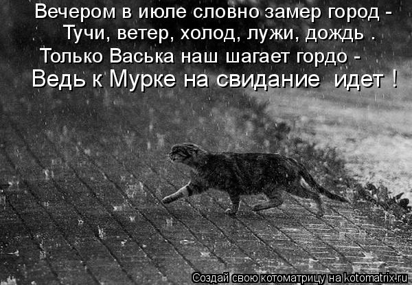 Вечером в июле словно замер город - Тучи, ветер, холод, лужи, дождь . Ведь к Мурке на свидание идет ... Котоматрица: Вечером в июле словно замер город - Тучи, ветер, холод, лужи, дождь . Ведь к Мурке на свидание идет ! Только Васька наш шагает гордо -